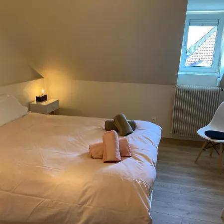 Les Moulins Tres Agreable Et Idealement Situe Colmar