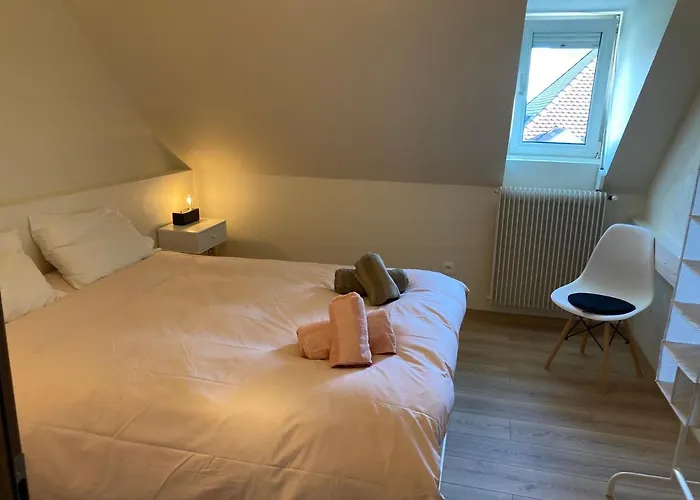 Les Moulins Tres Agreable Et Idealement Situe Colmar